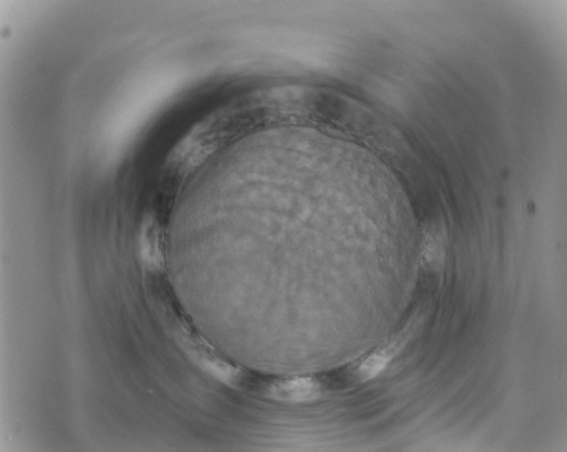 X0000073450431200608111355