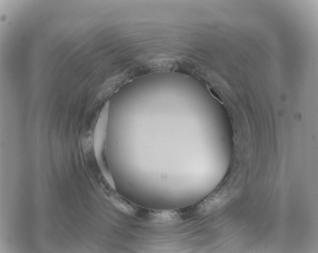 X0000073450432200608111355