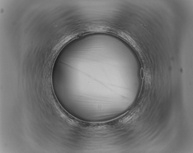 X0000073450433200608111354