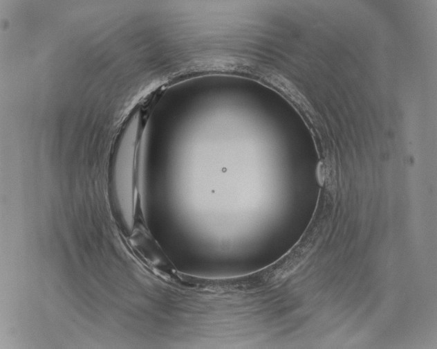 X0000073450434200608111354