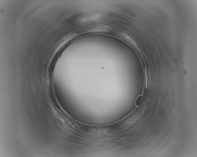 X0000073450435200608111354