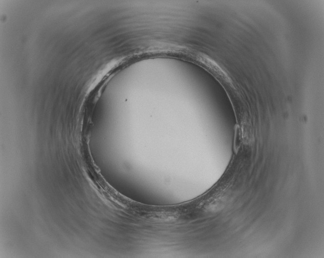 X0000073450436200608111354