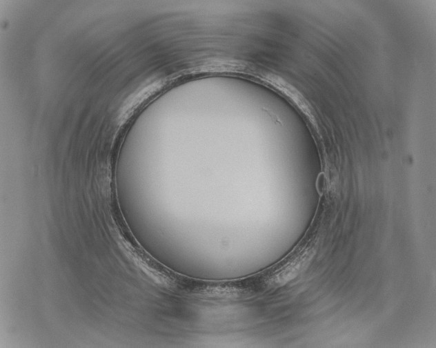 X0000073450437200608111354