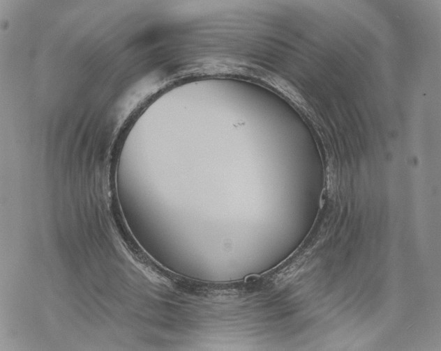 X0000073450438200608111354