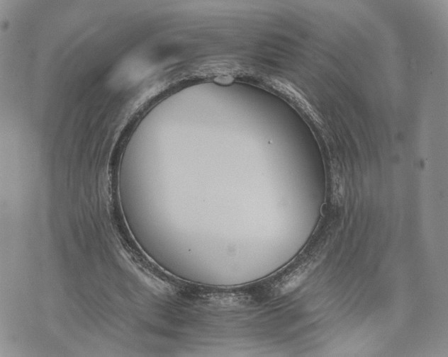 X0000073450439200608111354