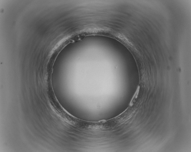 X0000073450440200608111354