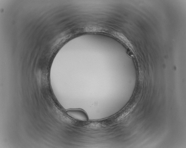 X0000073450441200608111354