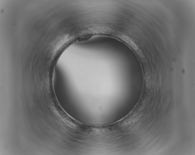 X0000073450442200608111354