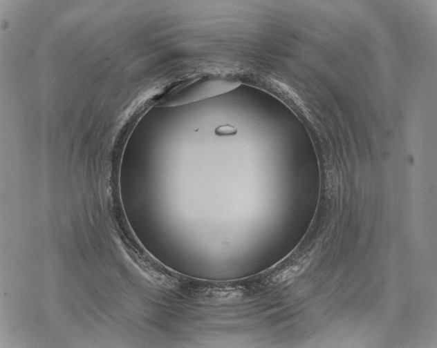 X0000073450443200608111354