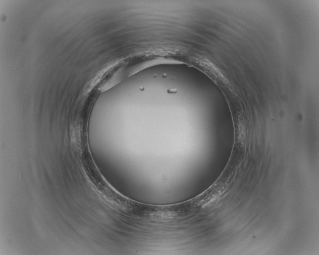 X0000073450444200608111354