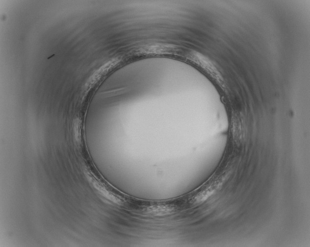 X0000073450445200608111354