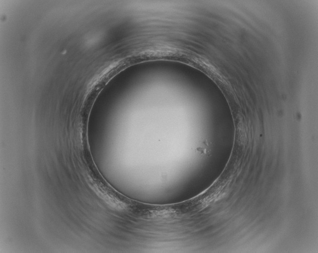 X0000073450446200608111354