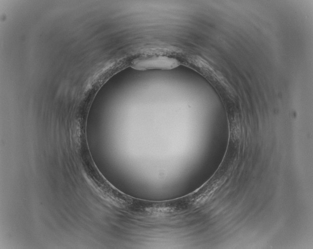 X0000073450448200608111354