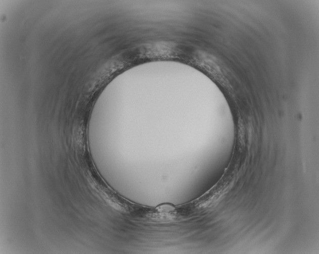 X0000073450449200608111354