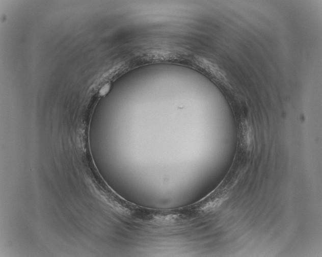 X0000073450450200608111354