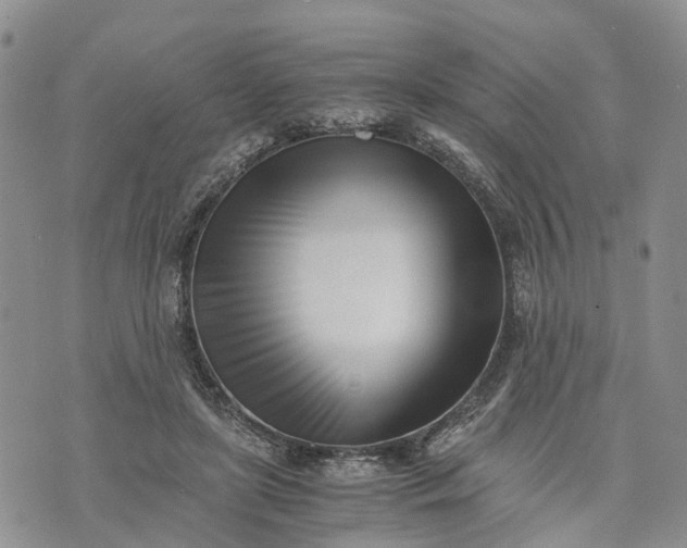 X0000073450451200608111354