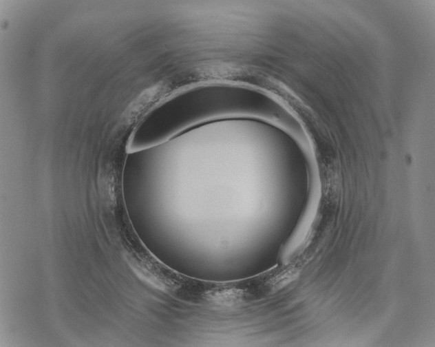 X0000073450452200608111354