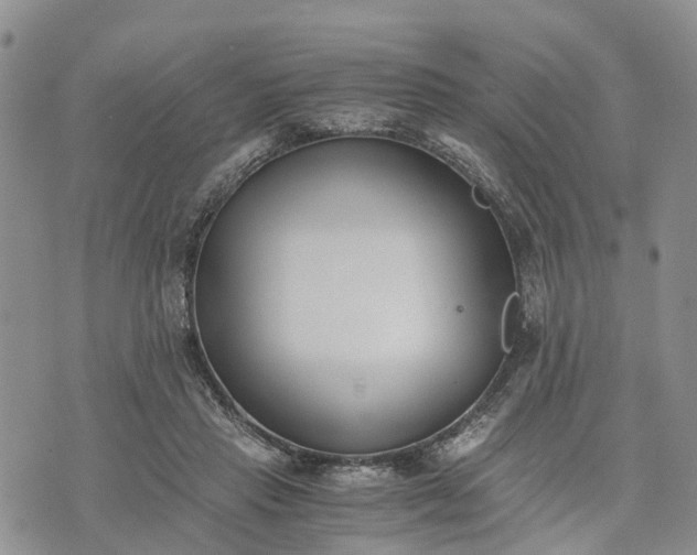 X0000073450453200608111354