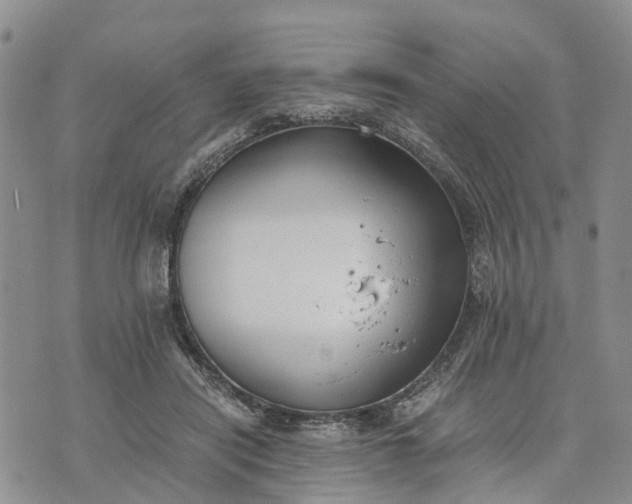 X0000073450454200608111354