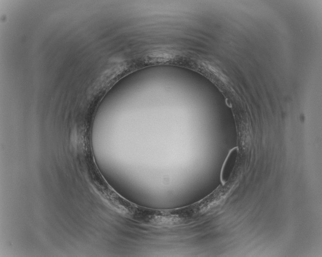 X0000073450455200608111354