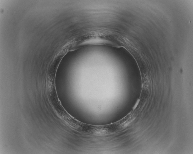 X0000073450456200608111354