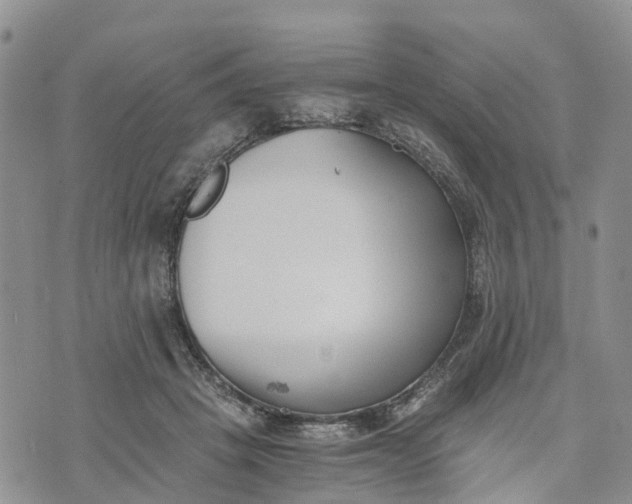 X0000073450457200608111354