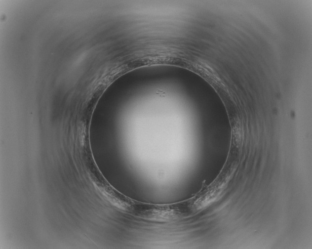 X0000073450458200608111354