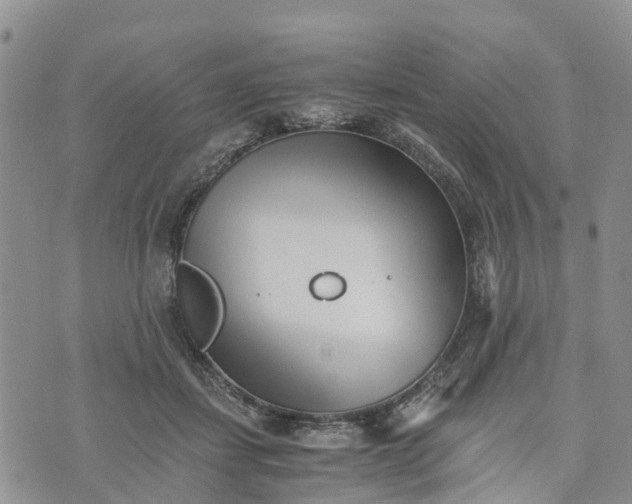 X0000073450459200608111354