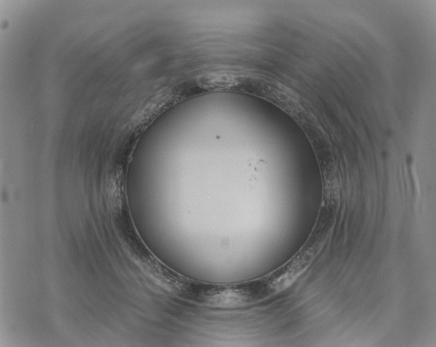 X0000073450460200608111354