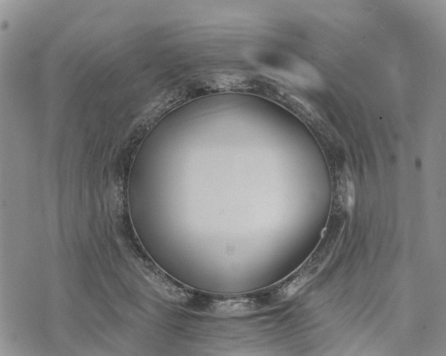 X0000073450461200608111354