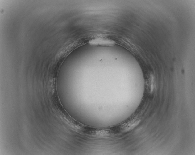 X0000073450462200608111354