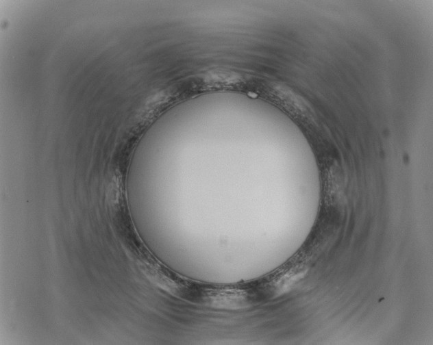 X0000073450463200608111354