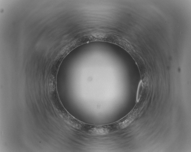 X0000073450464200608111354