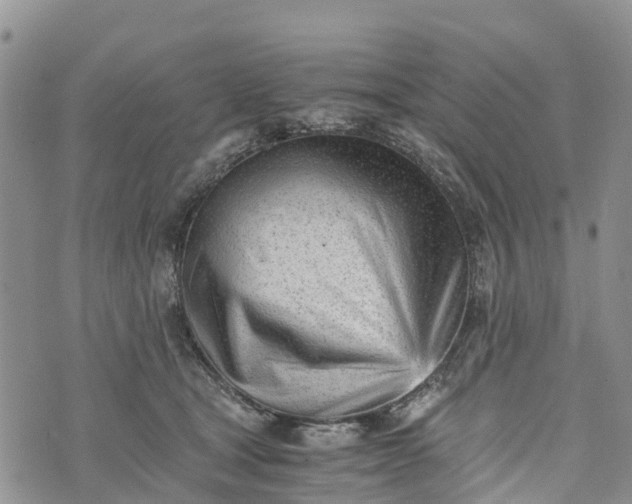 X0000073450465200608111354