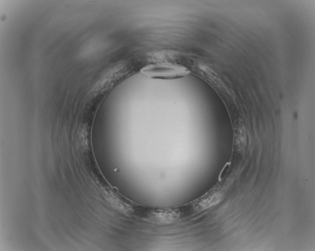 X0000073450466200608111354