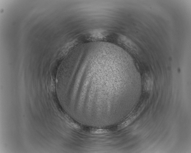 X0000073450467200608111354