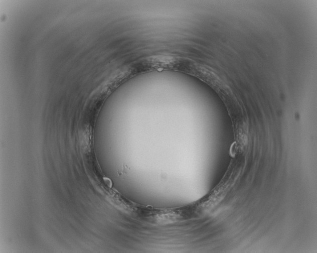 X0000073450468200608111354