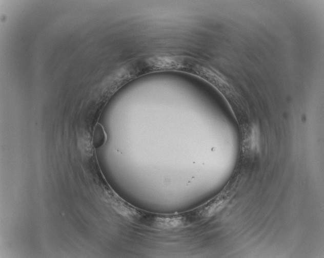 X0000073450469200608111354