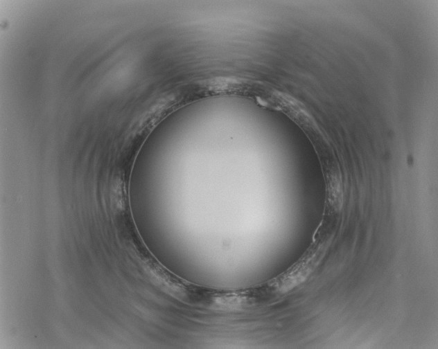 X0000073450470200608111355