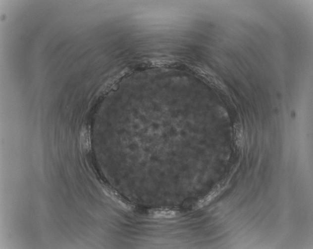 X0000073450471200608111355