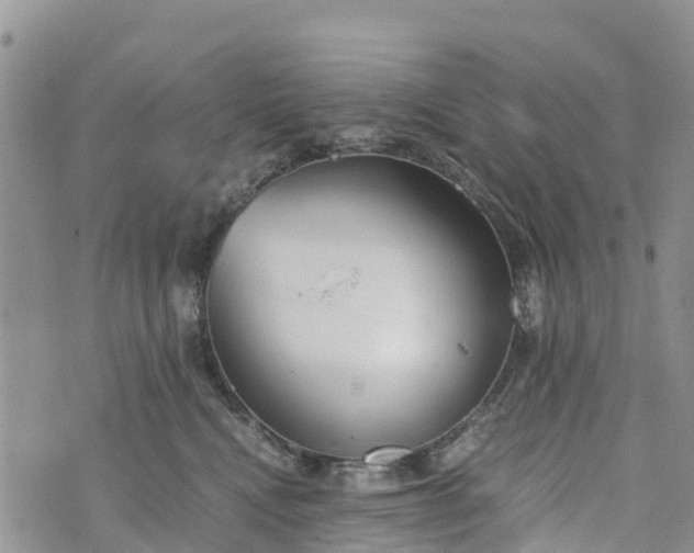 X0000073450472200608111355