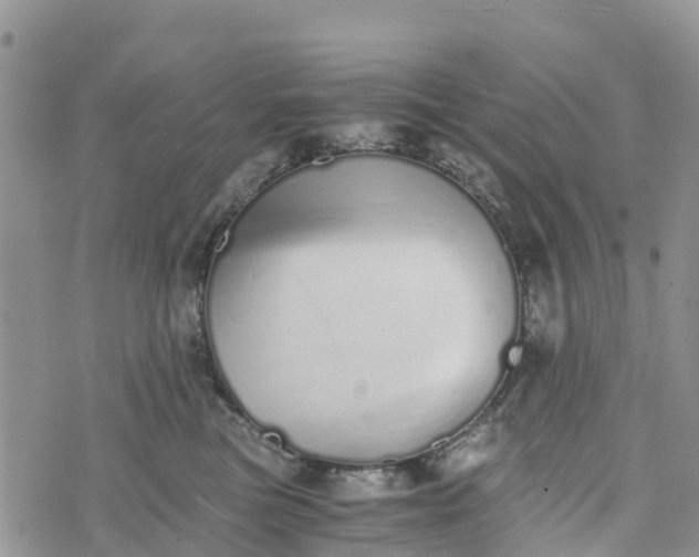 X0000073450473200608111355