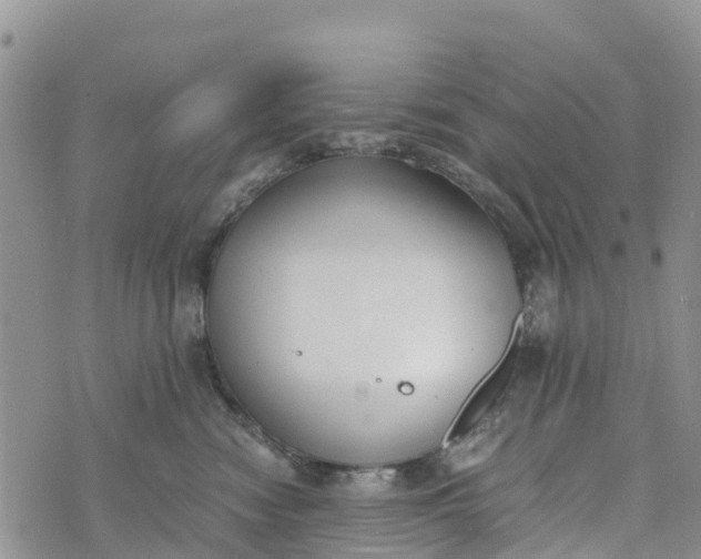 X0000073450474200608111355