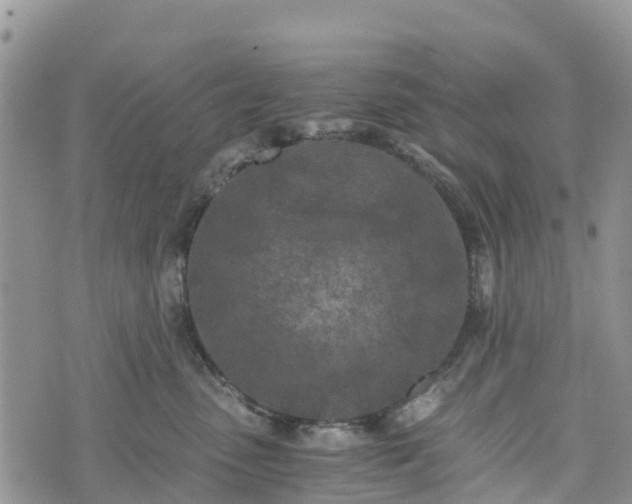 X0000073450475200608111355