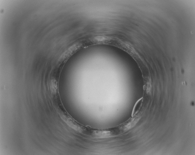 X0000073450476200608111355