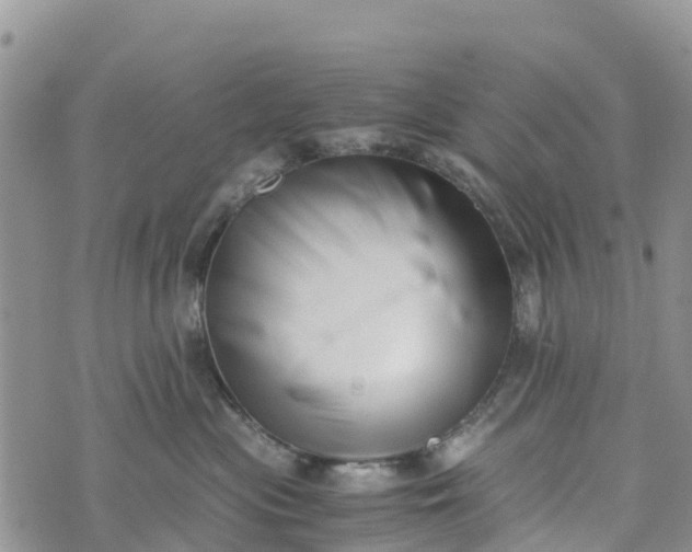 X0000073450477200608111355