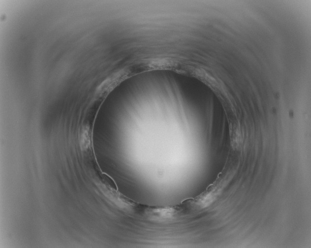 X0000073450478200608111355