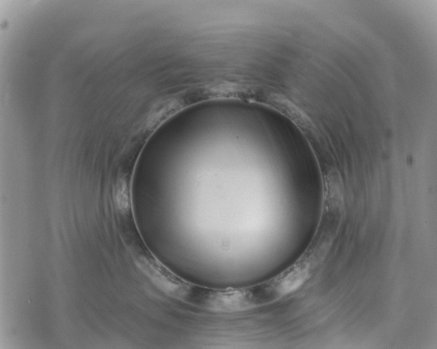 X0000073450479200608111355