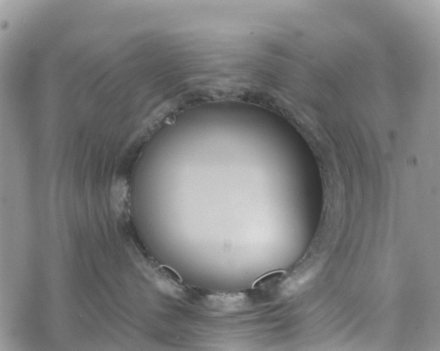 X0000073450480200608111355