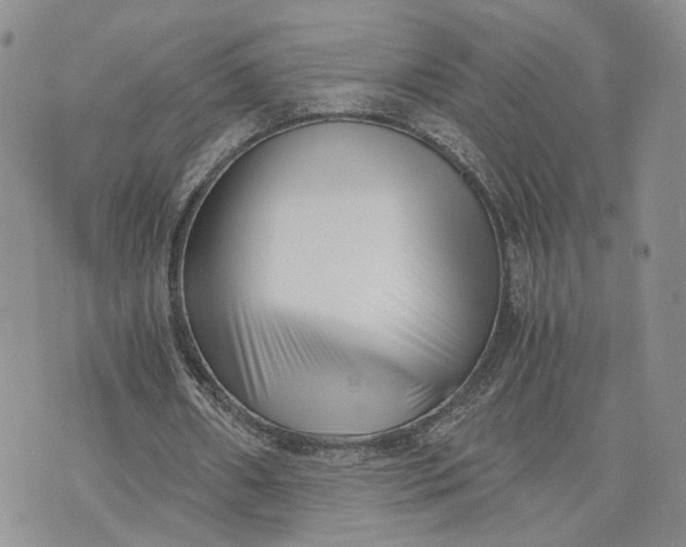 X0000073450482200608111354